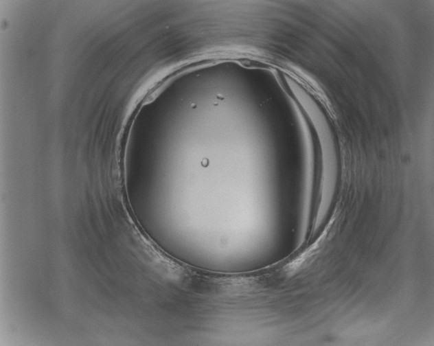 X0000069831192200605221159