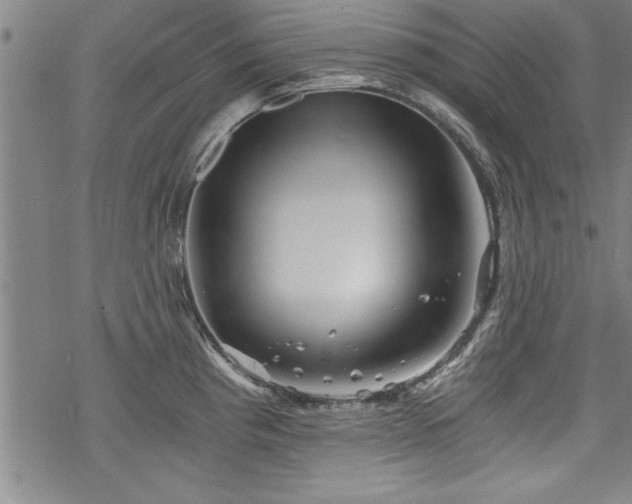 X0000069831193200605221159