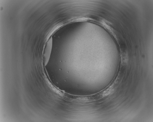 X0000069831194200605221159