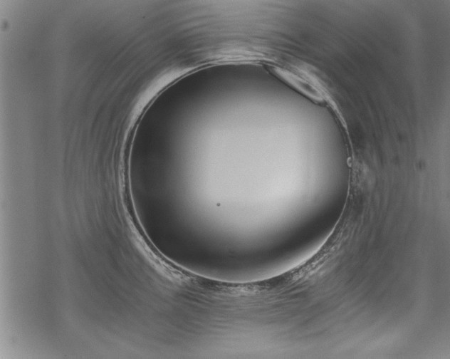 X0000069831195200605221159