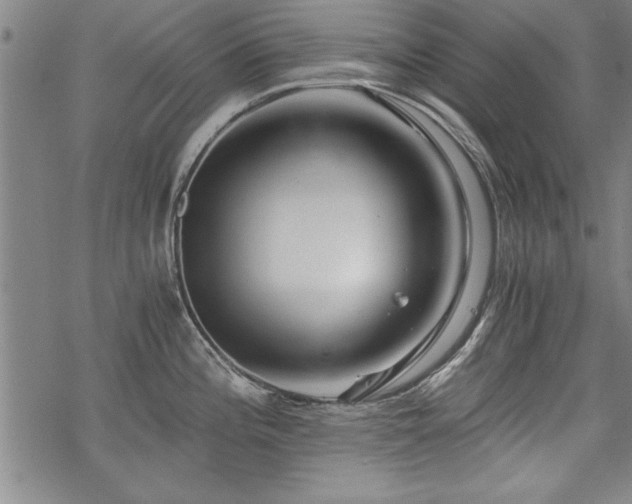 X0000069831196200605221159