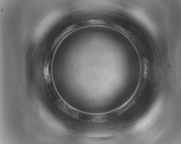 X0000069831198200605221159