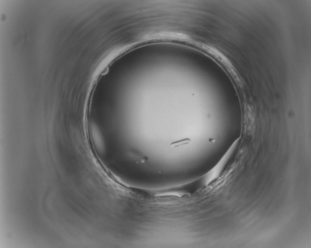 X0000069831199200605221159