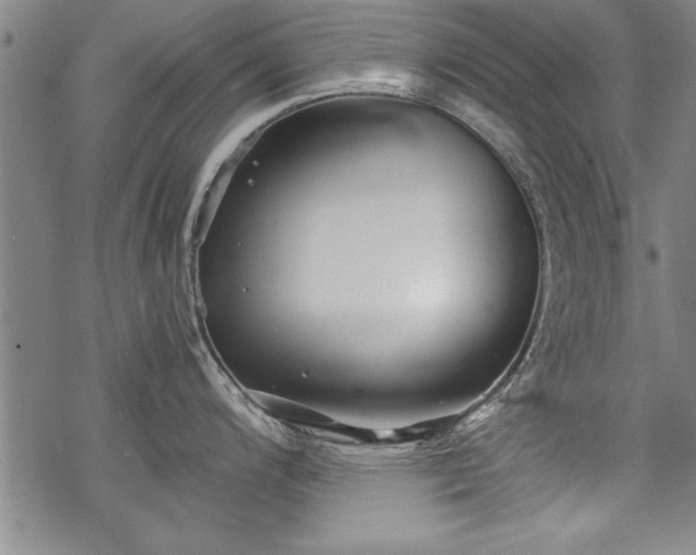 X0000069831200200605221159