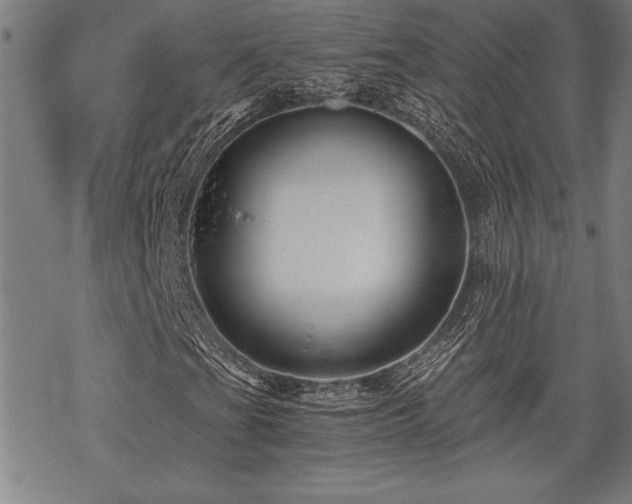 X0000069831201200605221158