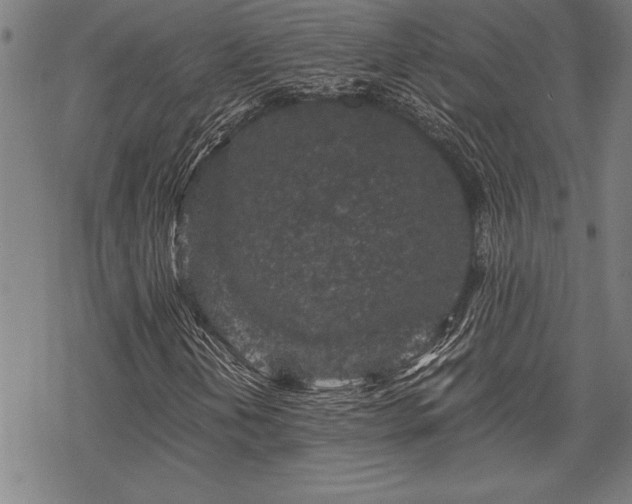 X0000069831202200605221158