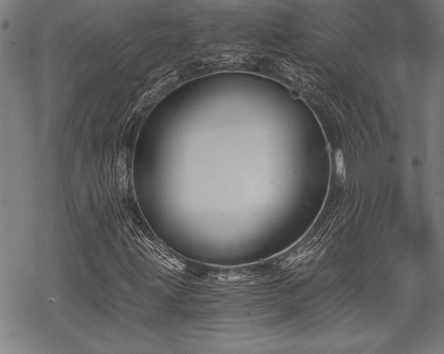 X0000069831203200605221158