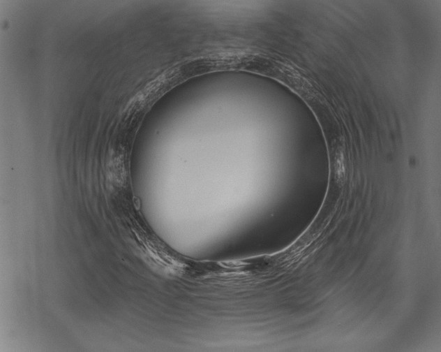 X0000069831204200605221158