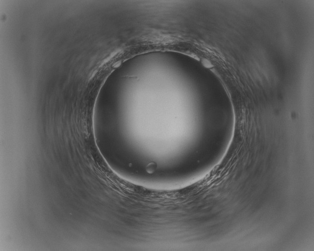 X0000069831205200605221158