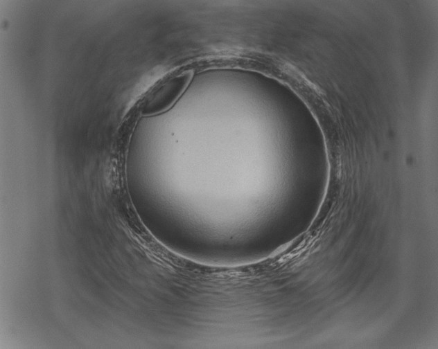 X0000069831208200605221158