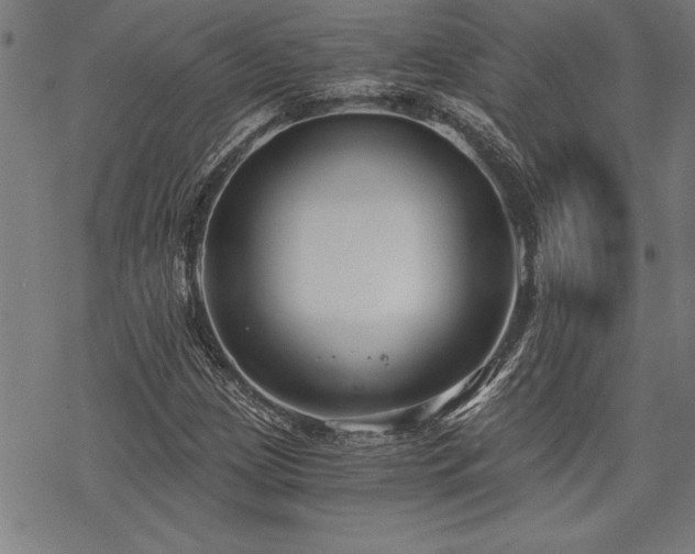 X0000069831209200605221158