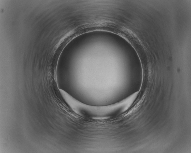 X0000069831210200605221158