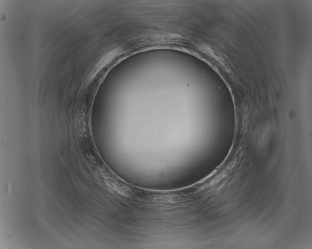 X0000069831211200605221158