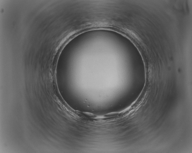 X0000069831212200605221158