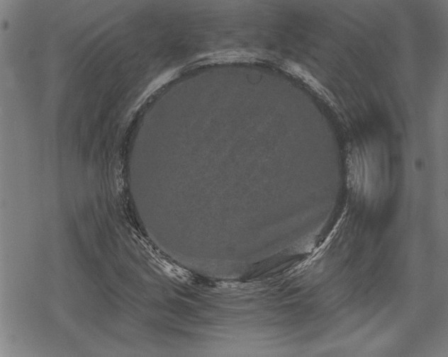 X0000069831213200605221158