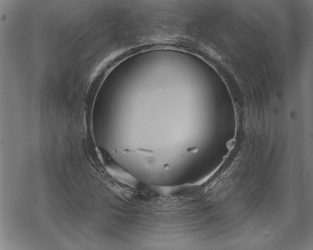 X0000069831214200605221158