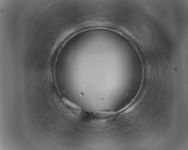 X0000069831215200605221158