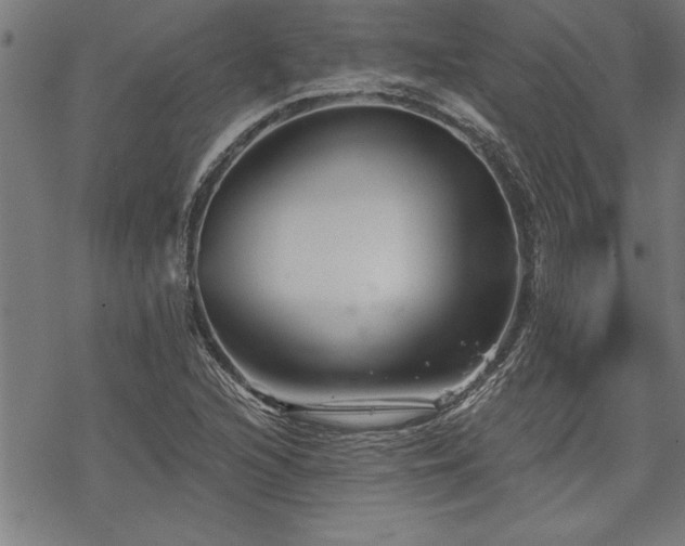 X0000069831216200605221158