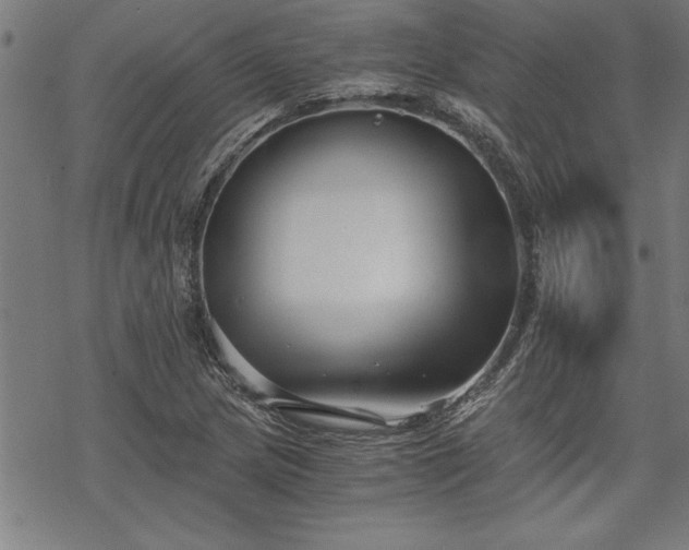 X0000069831217200605221158