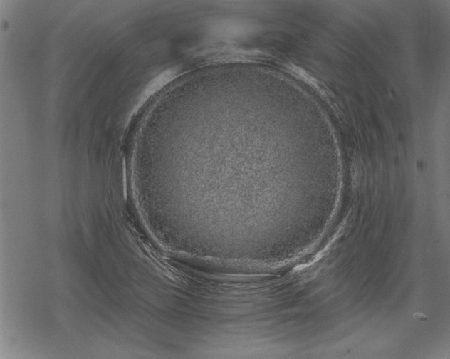 X0000069831219200605221158