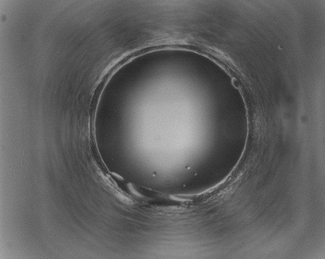 X0000069831220200605221158