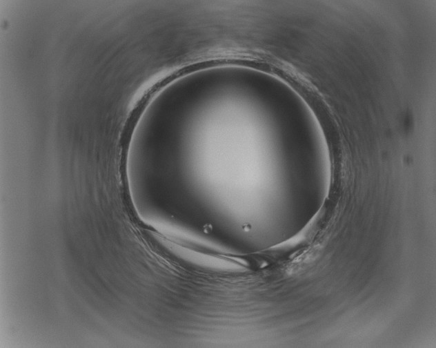 X0000069831222200605221158