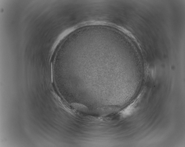 X0000069831223200605221158