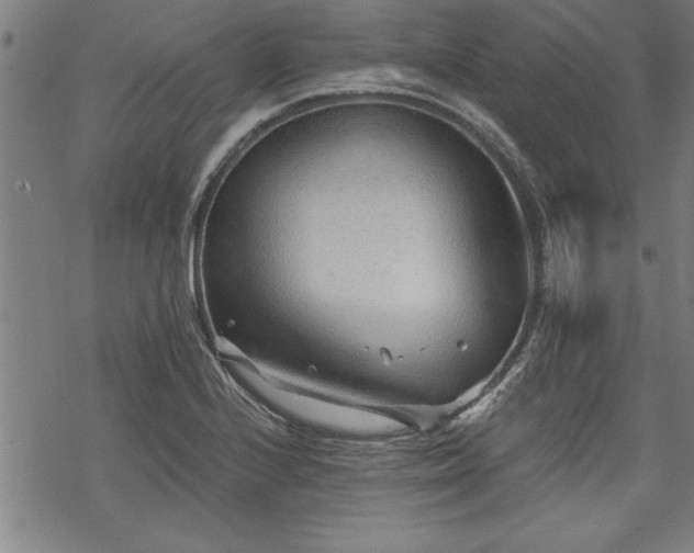 X0000069831224200605221158