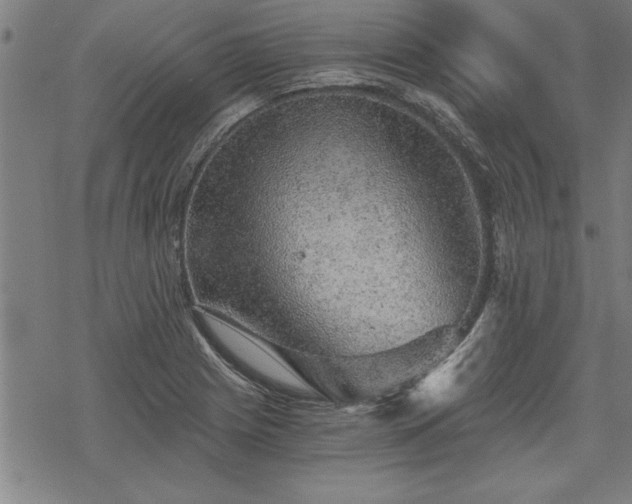 X0000069831225200605221158