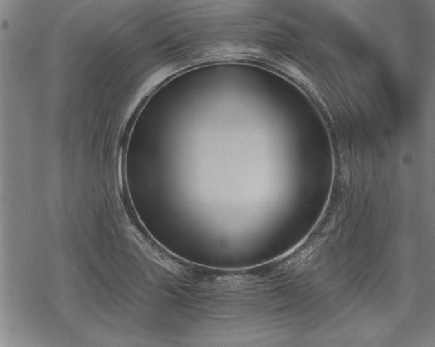 X0000069831227200605221158