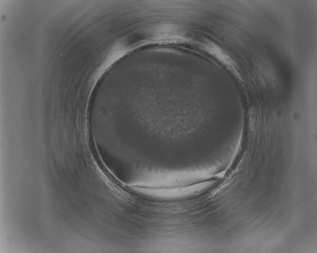 X0000069831229200605221159