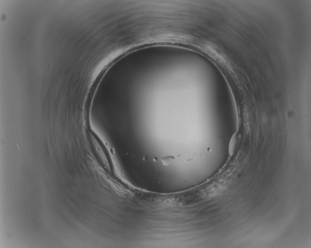 X0000069831230200605221159