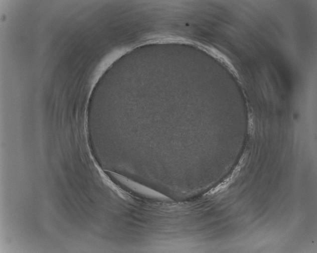 X0000069831231200605221159