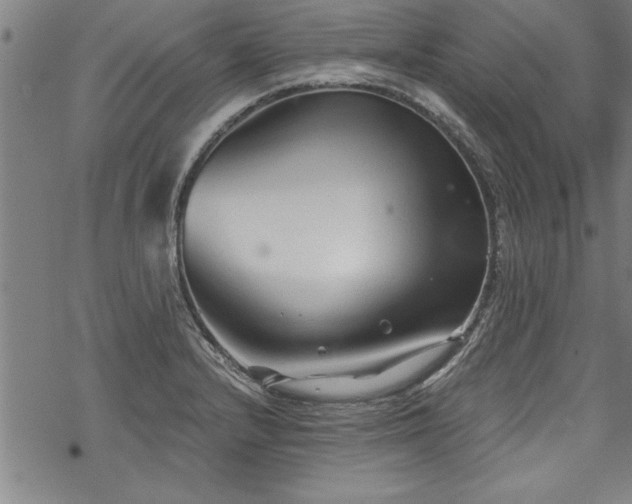 X0000069831232200605221159