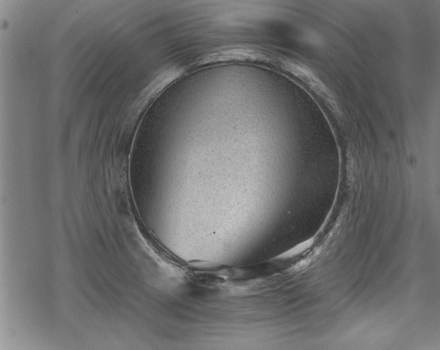 X0000069831233200605221159