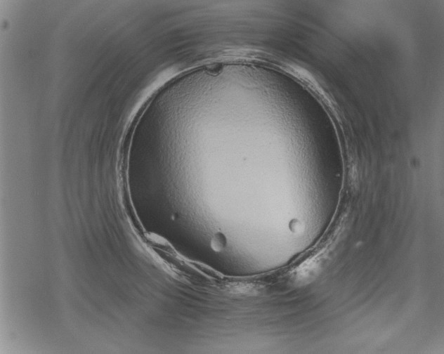 X0000069831235200605221159