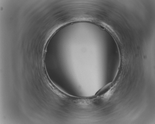 X0000069831236200605221159