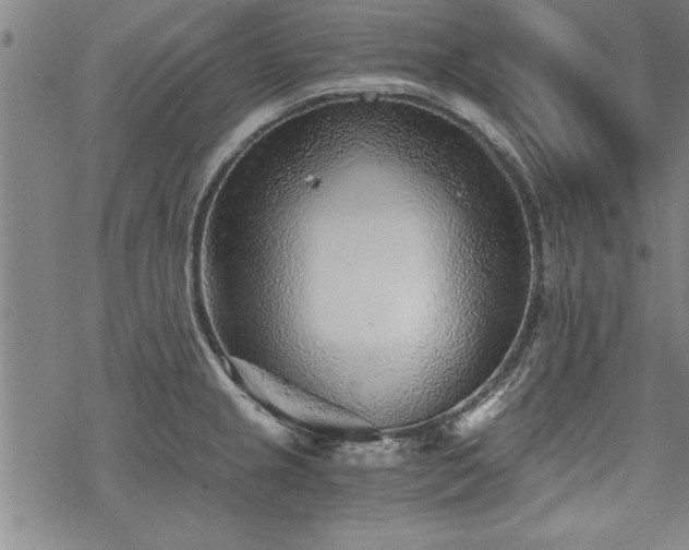 X0000069831237200605221159