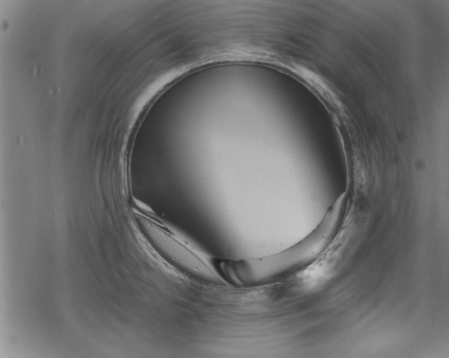 X0000069831238200605221159