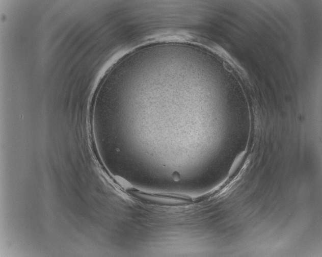 X0000069831240200605221159