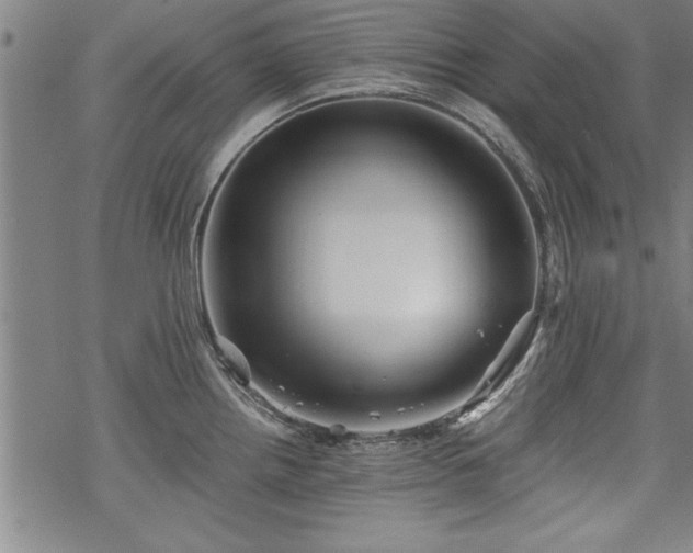 X0000069831242200605221159