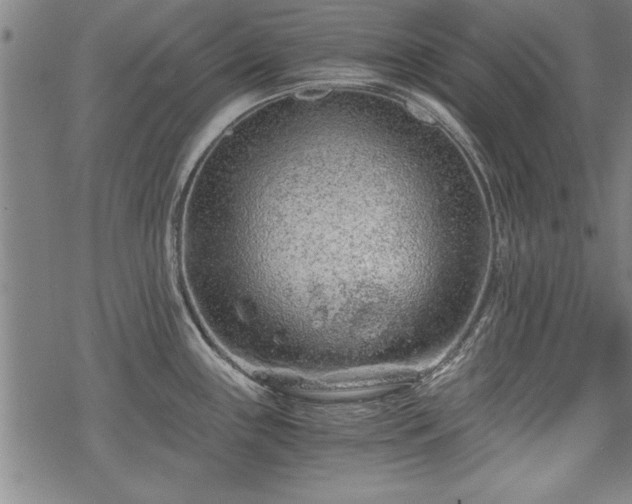 X0000069831243200605221159