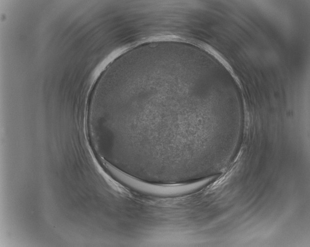 X0000069831245200605221159