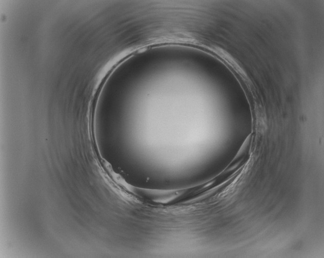 X0000069831246200605221159