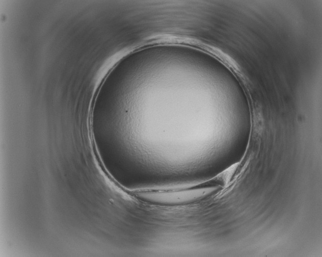 X0000069831247200605221159