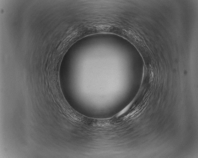 X0000069831249200605221158