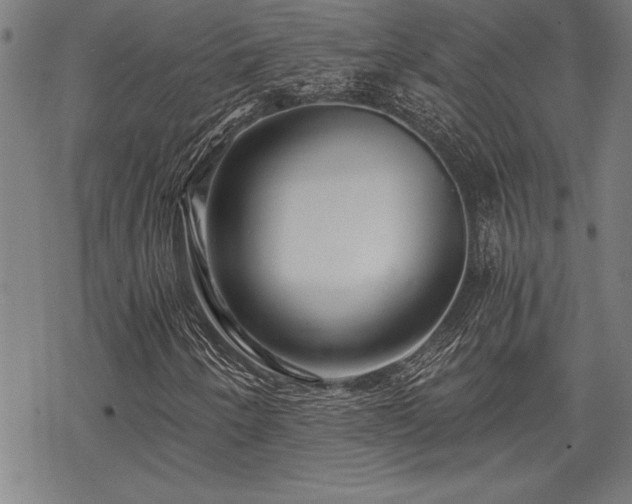 X0000069831250200605221158