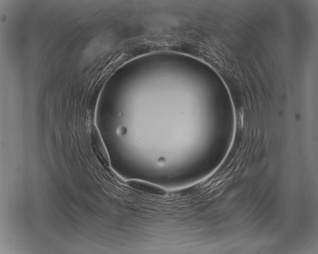 X0000069831251200605221158