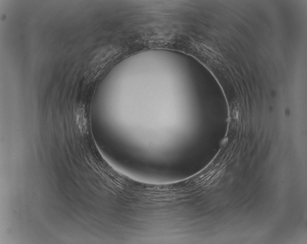 X0000069831252200605221158