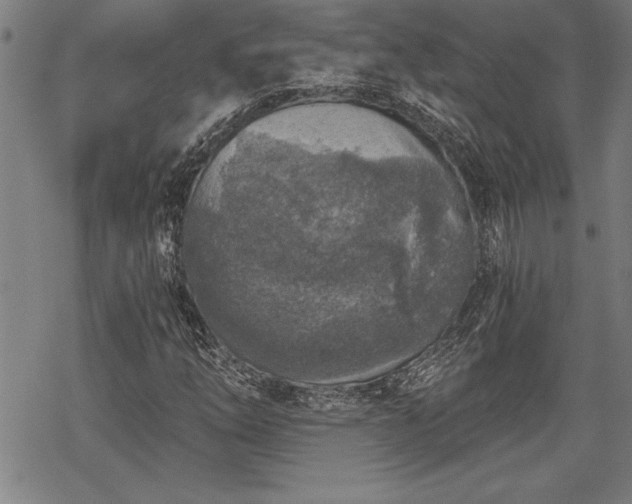 X0000069831254200605221158